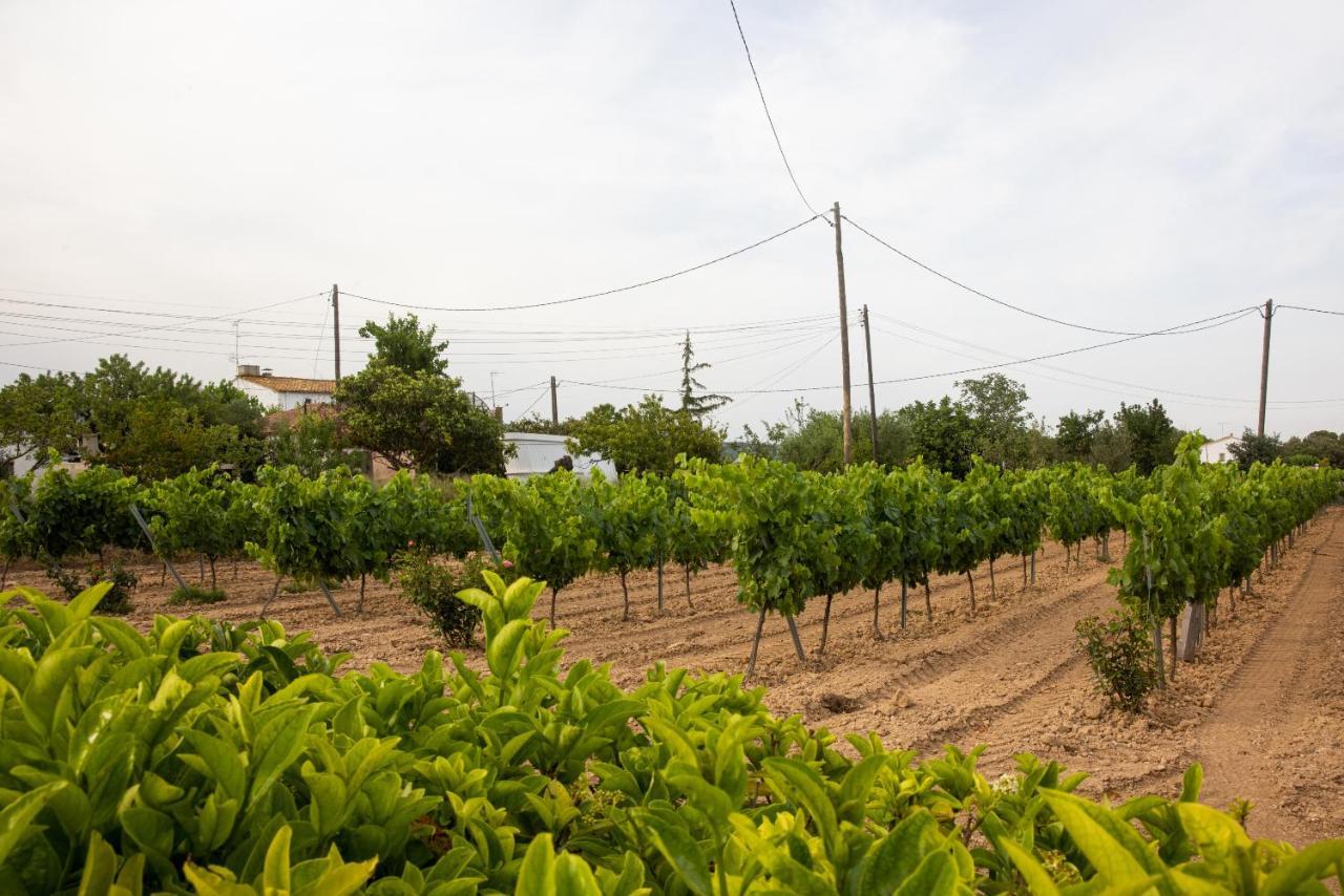 Masia Cal Sisplau, Con Piscina Y Rodeada De Vinedos A 10 Minutos De Vilafranca Del Penedes, Barcelona ,Cataluna San Martín Sarroca 外观 照片